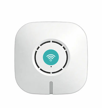 WiFi Access Point